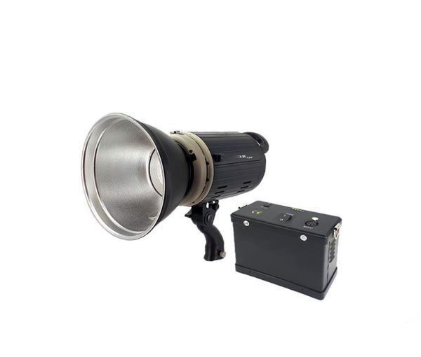 فلاش پرتابل پروفشنال professional TA-300 - Image 2