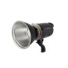 فلاش پرتابل پروفشنال professional TA-300