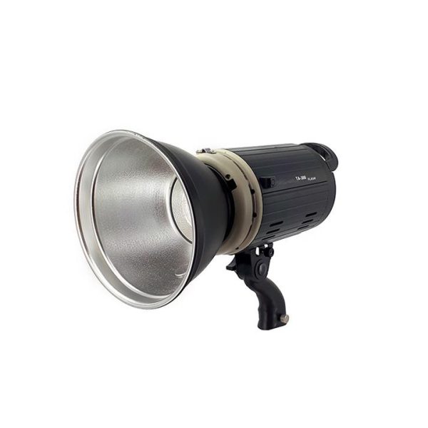 فلاش پرتابل پروفشنال professional TA-300